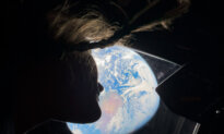 America in Photos: Artemis II Mission, Birthright Citizenship Arguments, and Cub Rescue