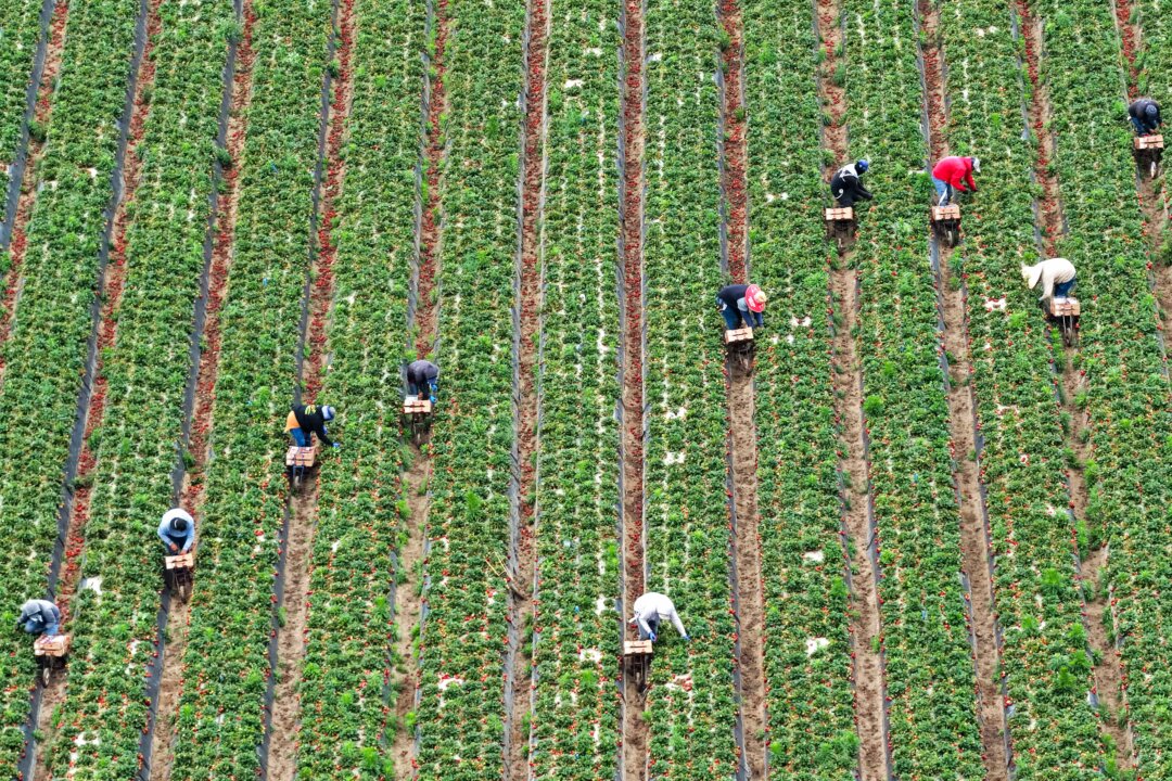 Sylvain Charlebois: Canada Remains Hooked on US Food