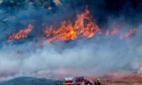 Crews Battle Fast-Growing Wildfire in Windy Southern California That’s Forced Some to Evacuate