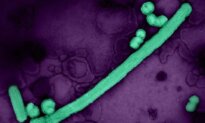 Influenza Season Winding Down, CDC Data Indicate