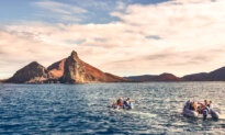 Voyage to the Strange but Beautiful Galápagos