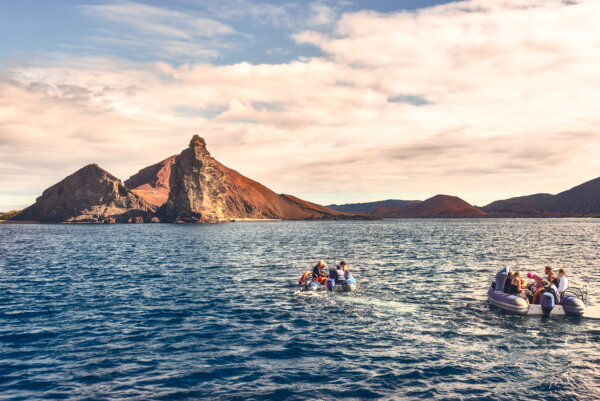 Voyage to the Strange but Beautiful Galápagos