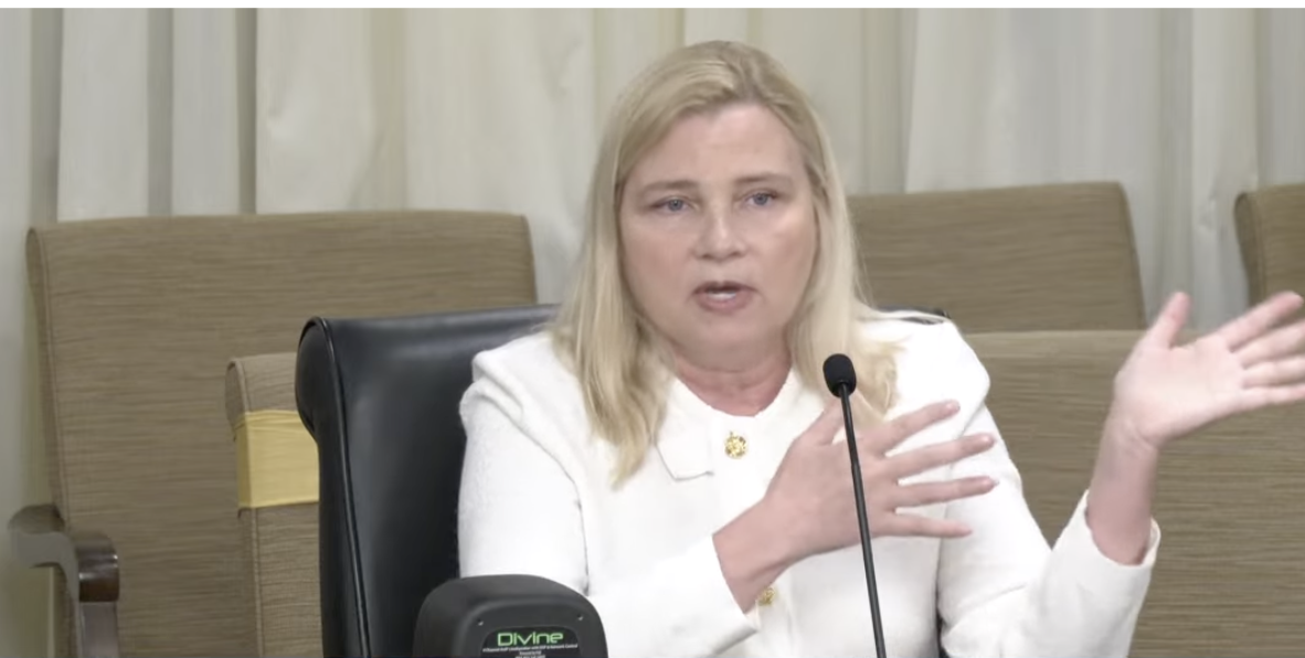 Faye Bernstein, a whistleblower who works for the Minnesota Department of Human Services, testifies before the state's Fraud Prevention and State Agency Oversight Policy Committee in St. Paul, Minn., on April 7, 2026. (Screenshot via The Epoch Times/The Minnesota House of Representatives' video livestream)