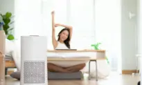 Spring Is Here — and so Are the Sneezes. An Air Purifier Might Be Your Best Friend This Season.