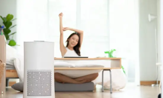 Spring Is Here — and so Are the Sneezes. An Air Purifier Might Be Your Best Friend This Season.