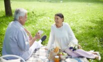 Everything You Need for a Good Picnic