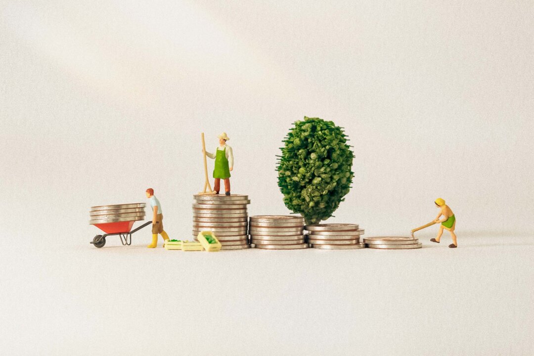 (Hyejin Kang/Shutterstock)