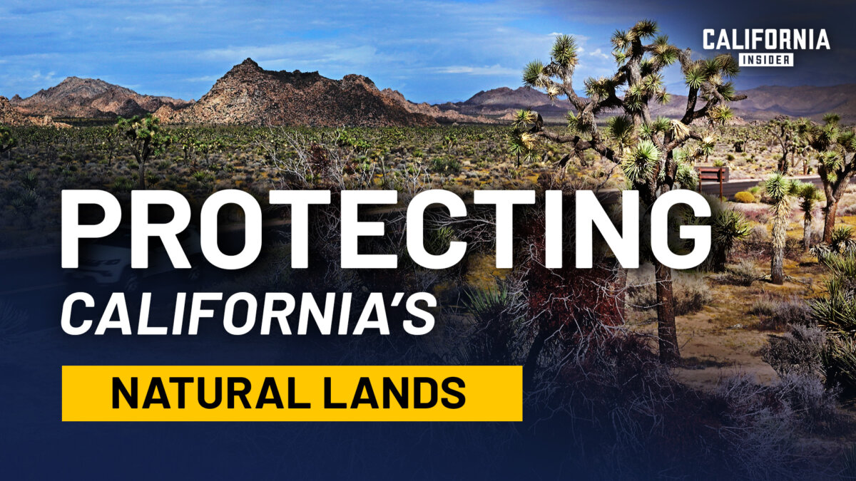 California’s Land, Water, and Fire: What’s Really Driving the Decisions