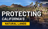 California’s Land, Water, and Fire: What’s Really Driving the Decisions