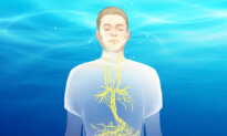 Diving Reflex: A Powerful Way to Enhance Vagal Tone–Here’s How to Activate It