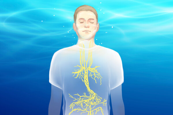 Diving Reflex: A Powerful Way to Enhance Vagal Tone–Here’s How to Activate It