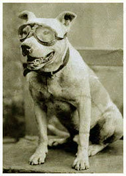 Bud Crocker Sewall