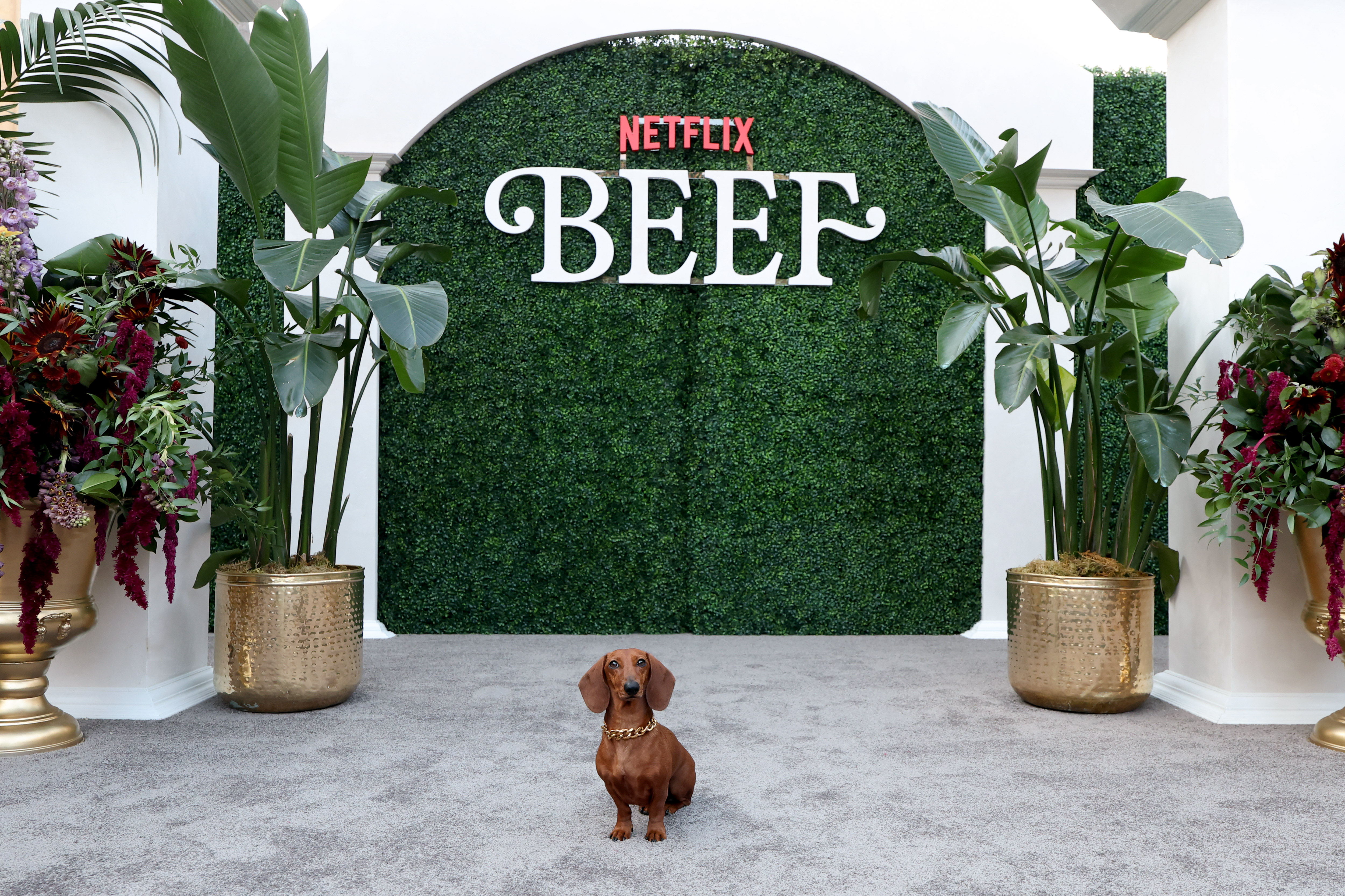 Beef Season 2 World Premiere