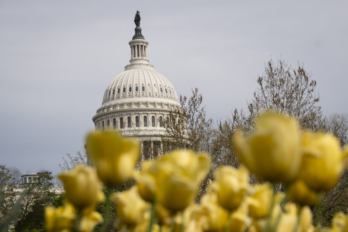 The U.S. Capitol building in Washington on April 13, 2026. (Madalina Kilroy/The Epoch Times)