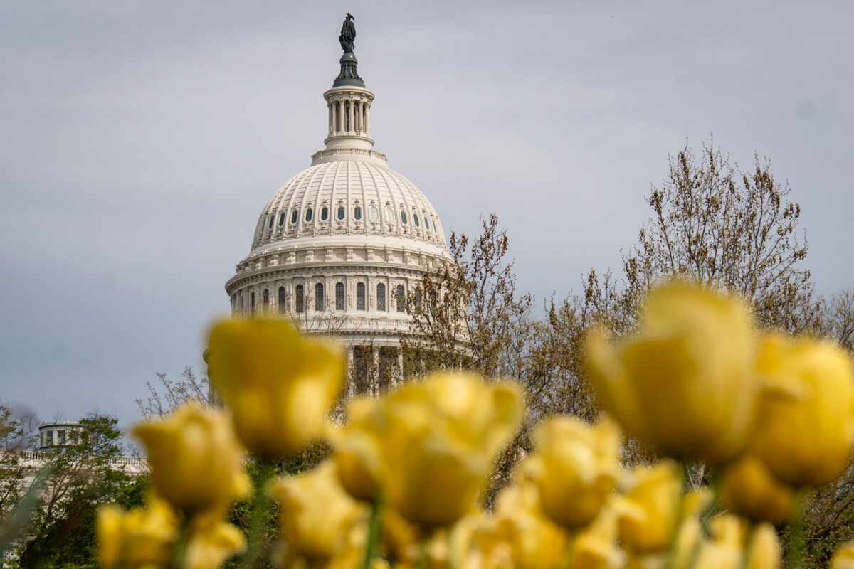 The U.S. Capitol building in Washington on April 13, 2026. (Madalina Kilroy/The Epoch Times)