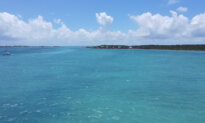 Bahamas Police Release Michigan Man After His Wife Vanishes at Sea