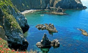 Channel Islands: See California’s Version of the Galapagos