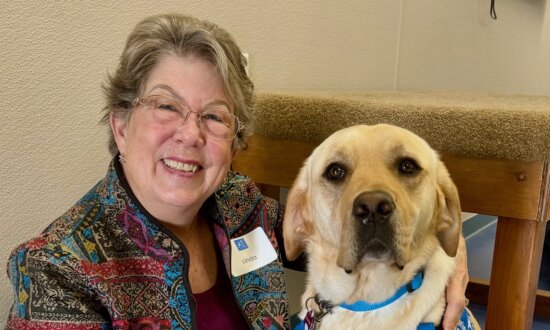 Training Service Dogs to Become Heroes to Those in Need