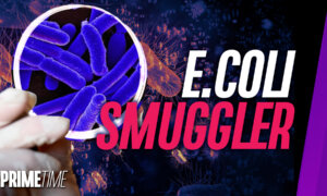 Chinese Man Who Smuggled E. Coli Into US Pleads Guilty; Is AI-Powered ‘Dynamic Airline Pricing’ Out of Control?