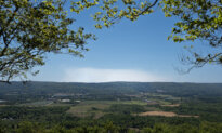 Nova Scotia Court Rules Wildfire Woods Ban ‘Unreasonable,’ Cites Charter Concerns
