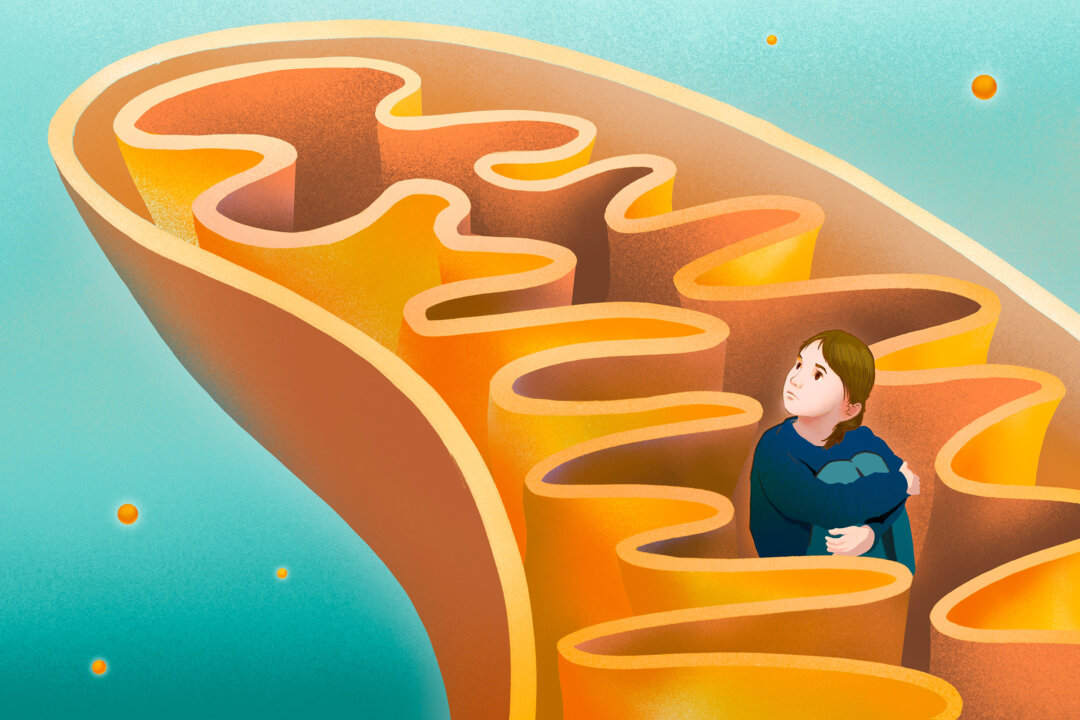 Mitochondrial Dysfunction: An Underlying Driver of Autism—What May Help