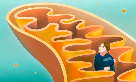 Mitochondrial Dysfunction: An Underlying Driver of Autism—What May Help