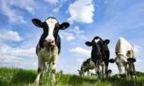 Farming Groups Applaud Private Member’s Bill Aimed at Speeding up Product Approvals