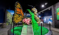 A Lego Exhibit of 1.5 Million Bricks Visits US Museums
