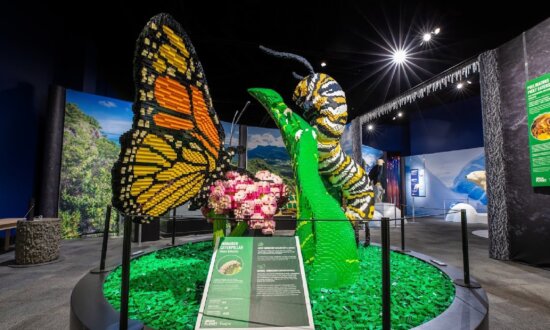 A LEGO Exhibit of 1.5M Bricks Visits U.S. Museums