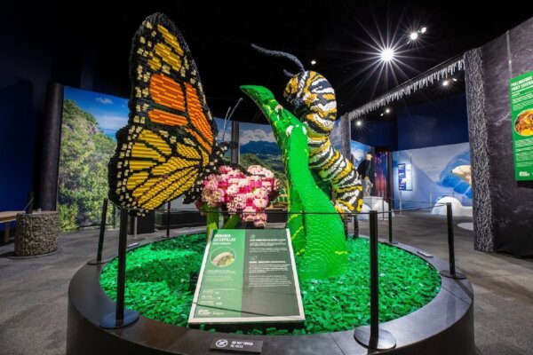 A LEGO Exhibit of 1.5M Bricks Visits U.S. Museums