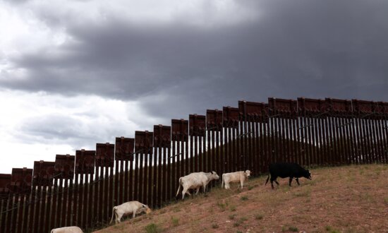 USDA, US Army Break Ground on Texas Facility to Combat Flesh-Eating Parasite Spread