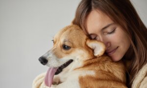 Many Reasons Dogs Prefer Certain People