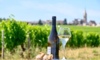 Loire Valley Wines