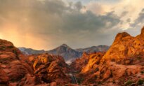 Could Nevada Become a Red State?
