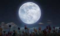 Two Full Moons Will Occur in May, Including a Rare ‘Blue’ Micromoon—What You Need to Know