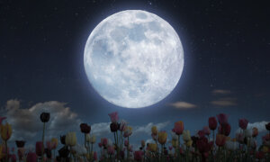 Two Full Moons Will Occur in May, Including a Rare ‘Blue’ Micromoon—What You Need to Know