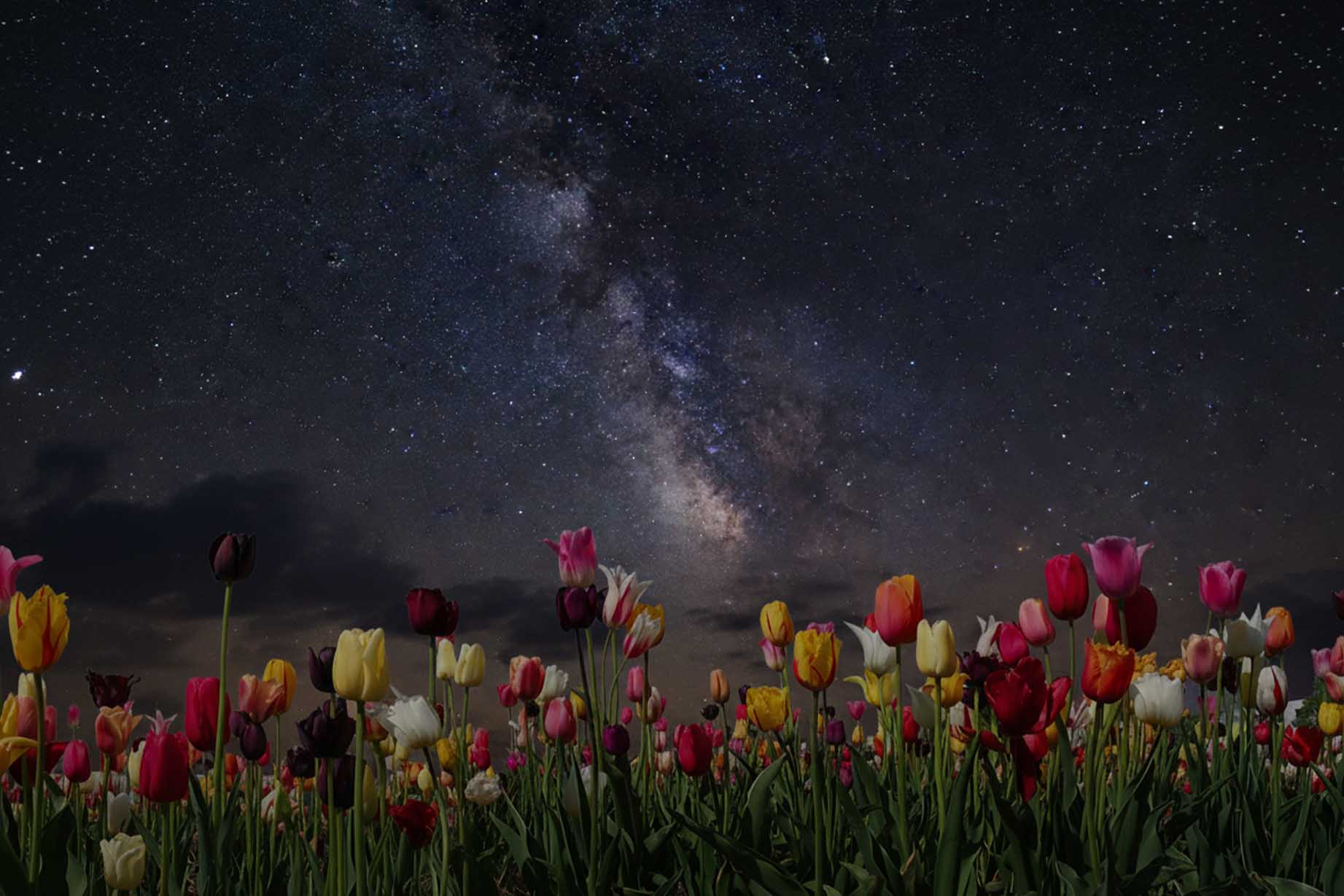 Epoch Times Photo