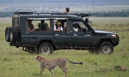 Unforgettable Destinations for Multi-Gen Trips, According to Travel Advisers