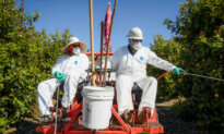 Texas AG Launches Investigation Into Glyphosate in Food