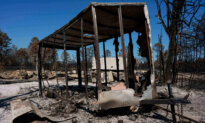 Growing Georgia Wildfires Have Destroyed 120 Homes, Forcing New Evacuations