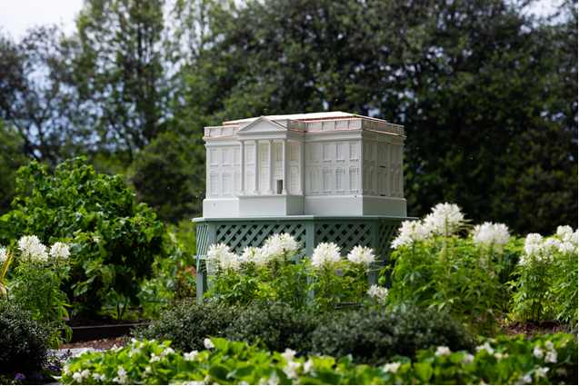First Lady Melania Trump Unveils Miniature White House Shaped Beehive