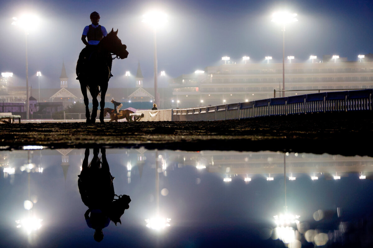 A horse walks back to the barn area during morning workouts ahead of the running of the 152nd Kentucky Derby at Churchill Downs in Louisville, Ky., on April 25, 2026. (Michael Reaves/Getty Images)