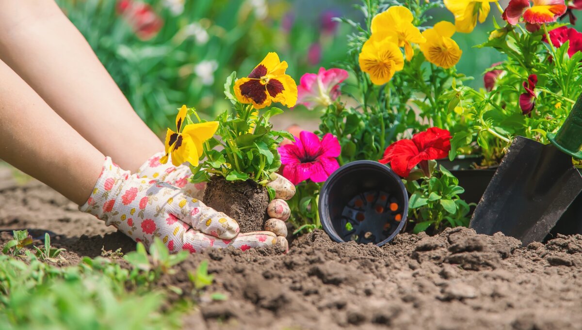 Before buying bags of mulch, take a walk around your yard and see what nature already provided. (Tatevosian Yana/Shutterstock)