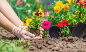 Spring Yard Fixes That Don’t Require a Store Run