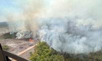 Fast-Growing Georgia Wildfire Tops 31 Square Miles, With Evacuations Possible