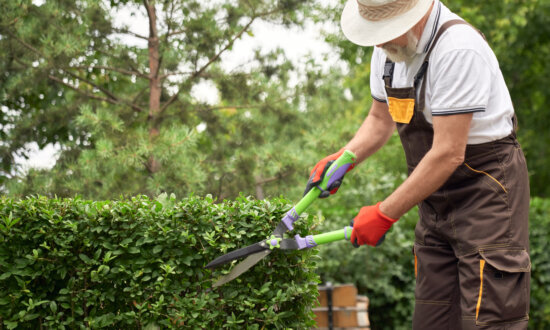 Simple Garden Finds for a More Enjoyable Spring