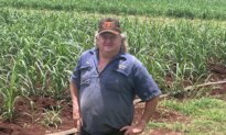 The Hidden Fuel Crisis Hitting Australia’s Farms—and Grocery Bills