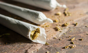 Cannabis Slows Brain Development in Teens, Largest US Study Shows