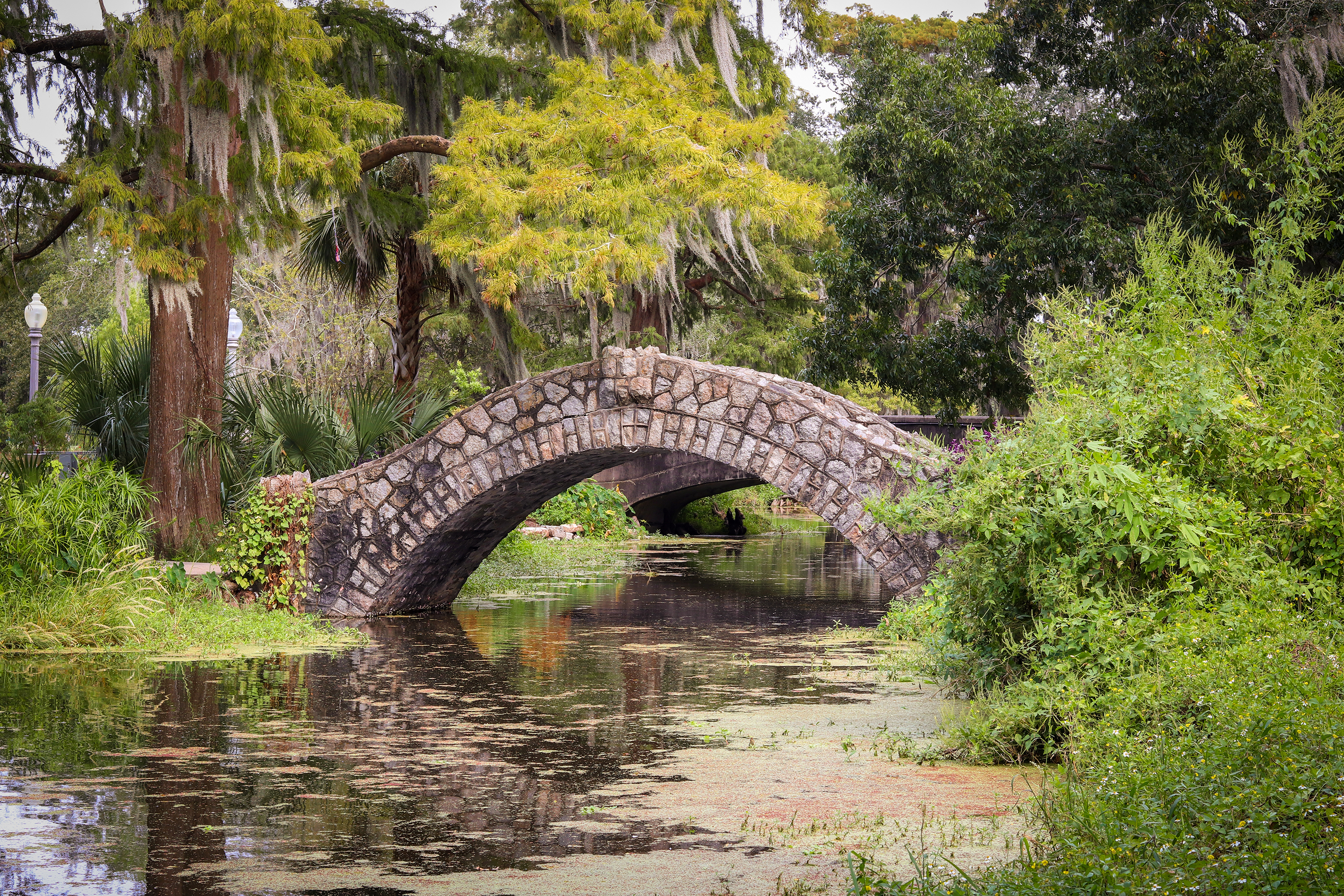 New Orleans City Park
