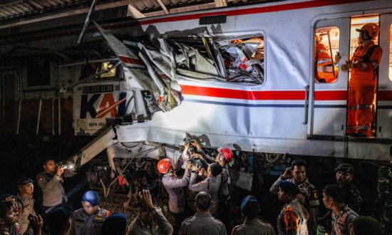 Day in Photos: Train Collision, Pesticides Protest, and Swans Chase